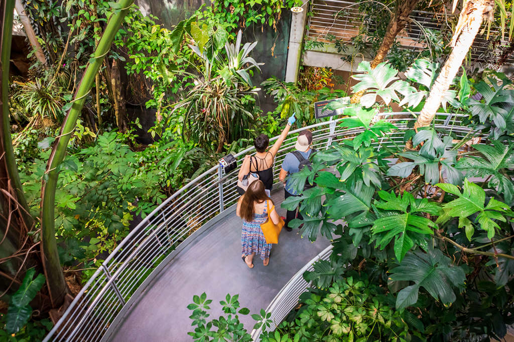 California Academy of Sciences Ticket (Daytime Admission - Youth (13-18 Years)) - 2