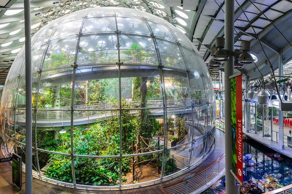California Academy of Sciences Ticket (Daytime Admission - Youth (13-18 Years)) - 3