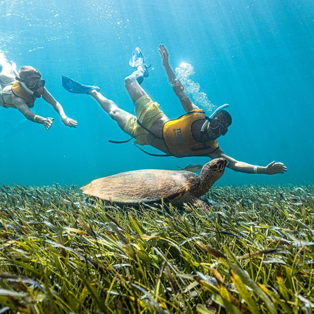 Cancún: Ruta de snorkel 5 en 1 - 3