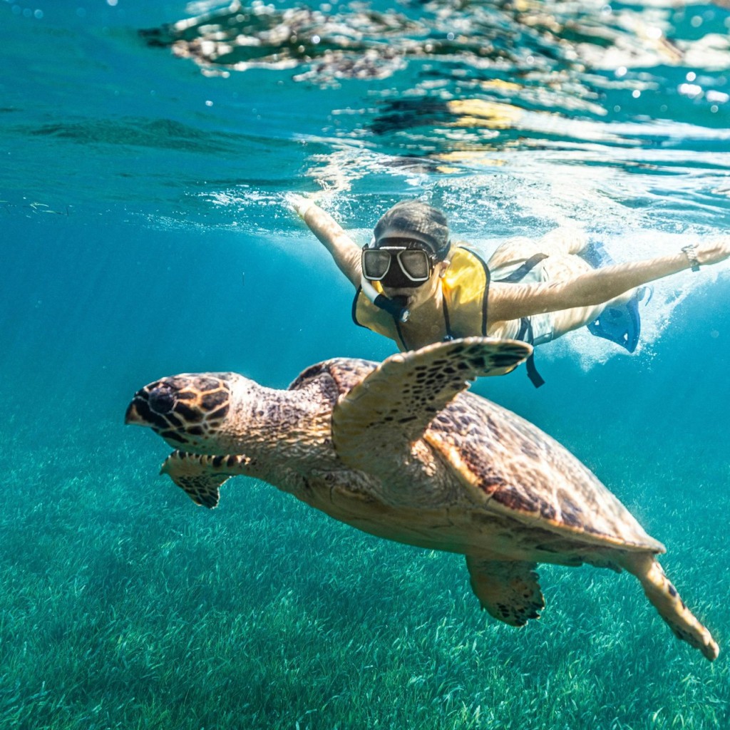 Cancún: Ruta de snorkel 5 en 1 - 2