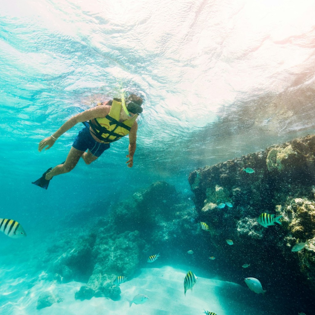 Cancún: Museo subacqueo MUSA, tour in motoscafo e snorkeling nella giungla - 2