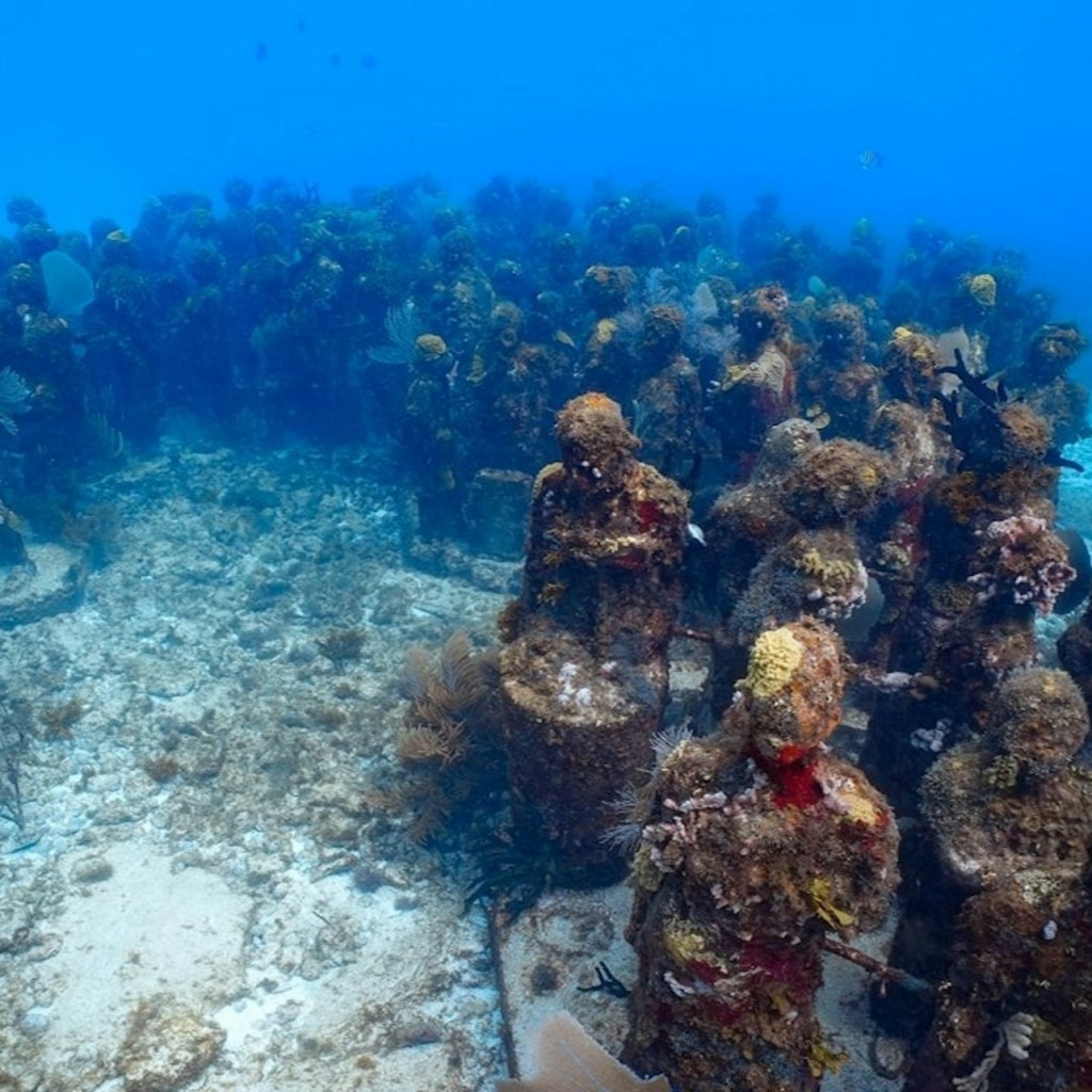 Cancún Underwater Art Museum and Manchones Coral Reef: Snorkeling Tour - 1