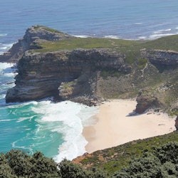Cape Town: Cape Peninsula & Boulders Beach Tour - 3