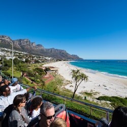 Ciutat del Cap: tour en bus turístic + taula d'anada i tornada en telefèric de muntanya - 2