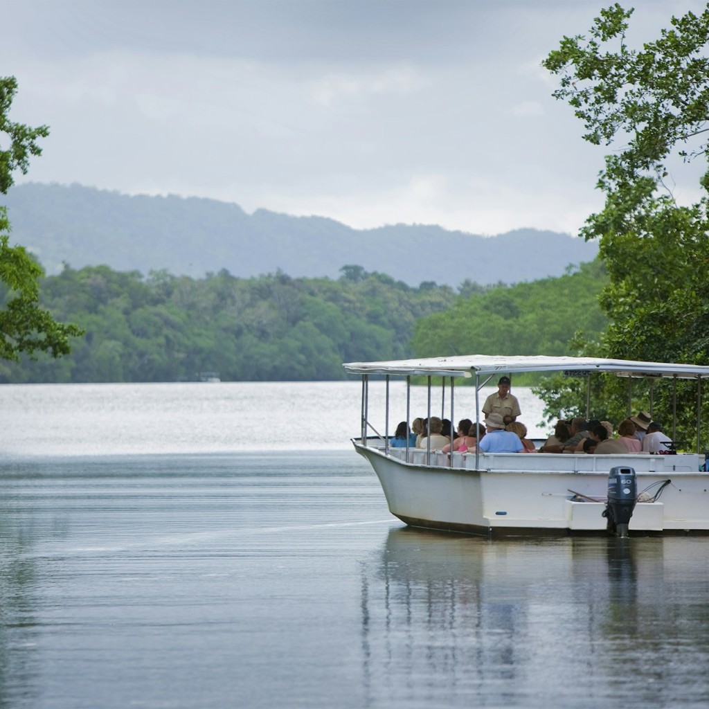 Cape Tribulation, Daintree & Mossman : visite depuis Cairns et Port Douglas - 1