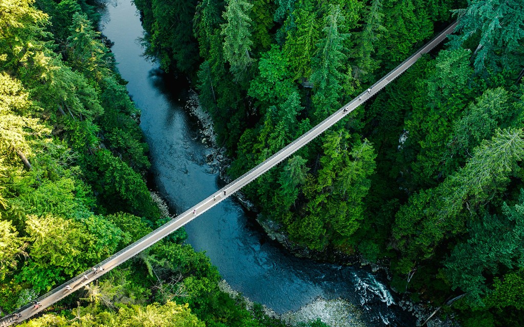 Capilano Suspension Bridge Park Tickets (Capilano Suspension Bridge Park Ticket ) - 1