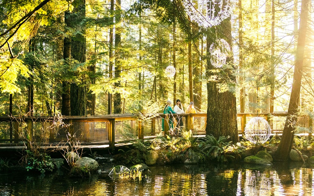 Capilano Suspension Bridge Park Tickets (Capilano Suspension Bridge Park Ticket ) - 2