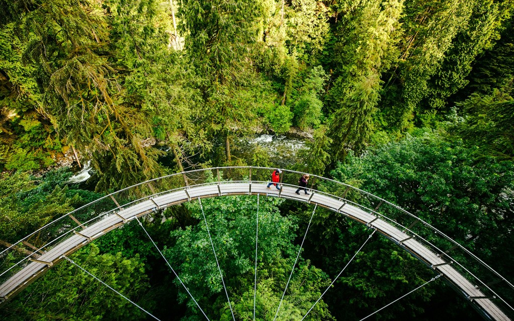 Capilano Suspension Bridge Park Tickets (Capilano Suspension Bridge Park Ticket ) - 3