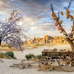 Cappadocia Red Tour: 1-Day Excursion from Göreme - 2