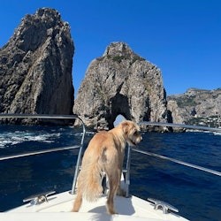 Île de Capri : Excursion d'une journée depuis Naples + excursion en bateau - 2