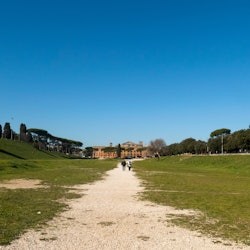 Caracalla Baths & Circus Maximus Guided Tour - 2