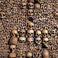Catacombs of Paris: Entry Ticket + Audio Guide - 2