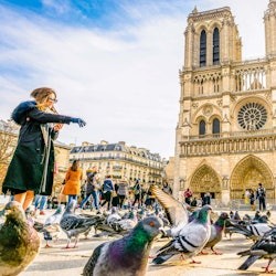 Catedral de Notre-Dame de París: aplicació d'àudio-guia de TouringBee - 1