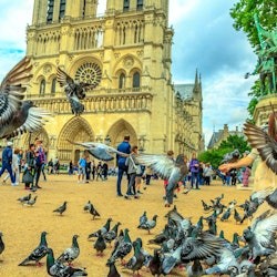 Catedral de Notre-Dame de París: aplicació d'àudio-guia de TouringBee - 3