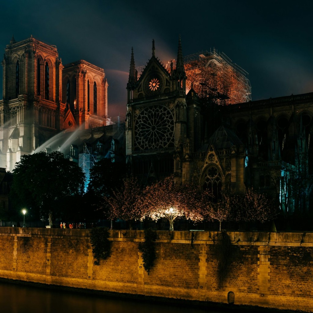 Cathédrale Notre-Dame de Paris: Guided Exterior Tour - English - 1