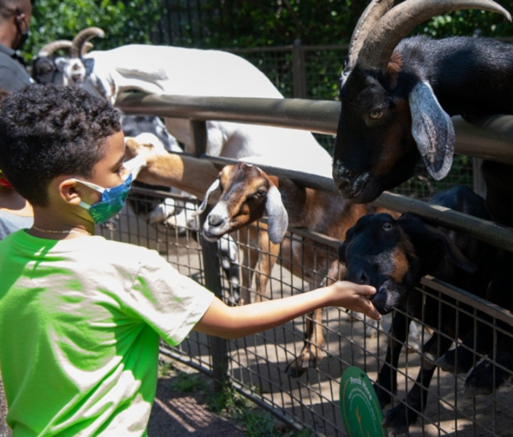 Central Park Zoo (Central Park Zoo - Admission) - 3