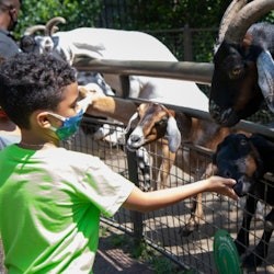 Central Park Zoo: Entry Ticket - 3