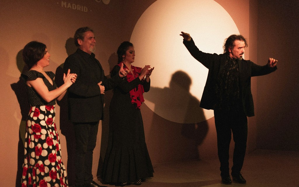 Centro Cultural - Flamenco Show (Tardes de Tablao Flamenco) - 3