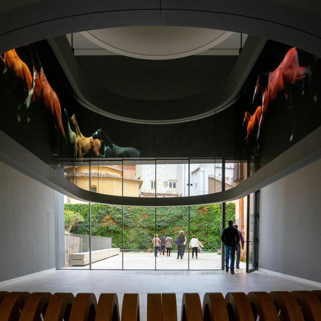 Centro de Arte Hortensia Herrero: Entry Ticket + Guided Tour - 2