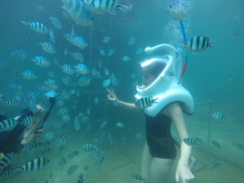 Cham Islands Underwater Walking and Snorkelling Half-Day Tour from Da Nang (Cham Islands Snorkelling Half-Day Tour from Da Nang (Speedboat)) - 1