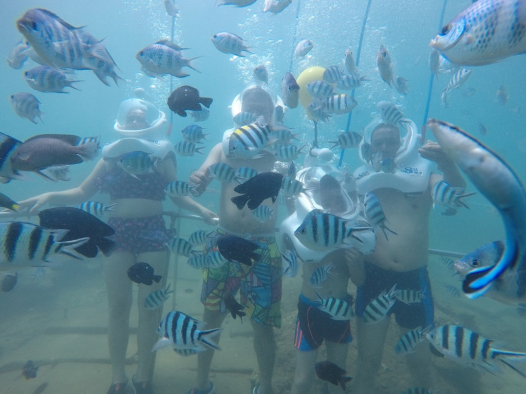 Cham Islands Underwater Walking and Snorkelling Half-Day Tour from Da Nang (Cham Islands Underwater Walking and Snorkelling Half-Day Tour from Da Nang (Speedboat)) - 2
