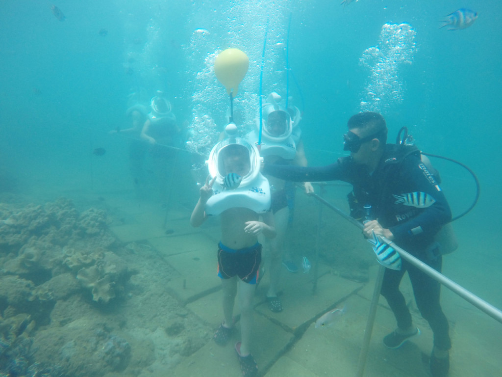 Cham Islands Underwater Walking and Snorkelling Half-Day Tour from Da Nang (Cham Islands Underwater Walking and Snorkelling Half-Day Tour from Da Nang (Speedboat)) - 3