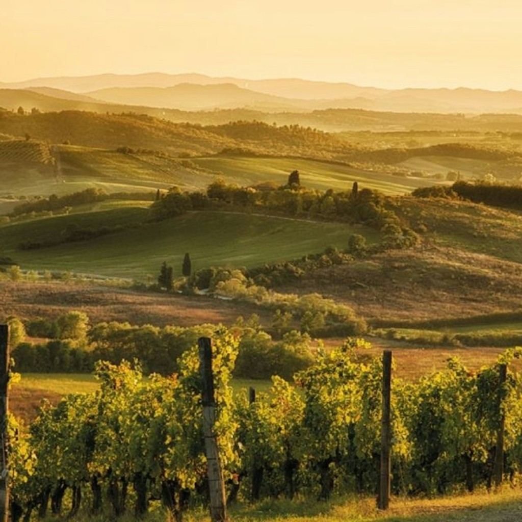 Chianti: Excursión de un día desde Florencia + Visita y Cata de Vinos - 2