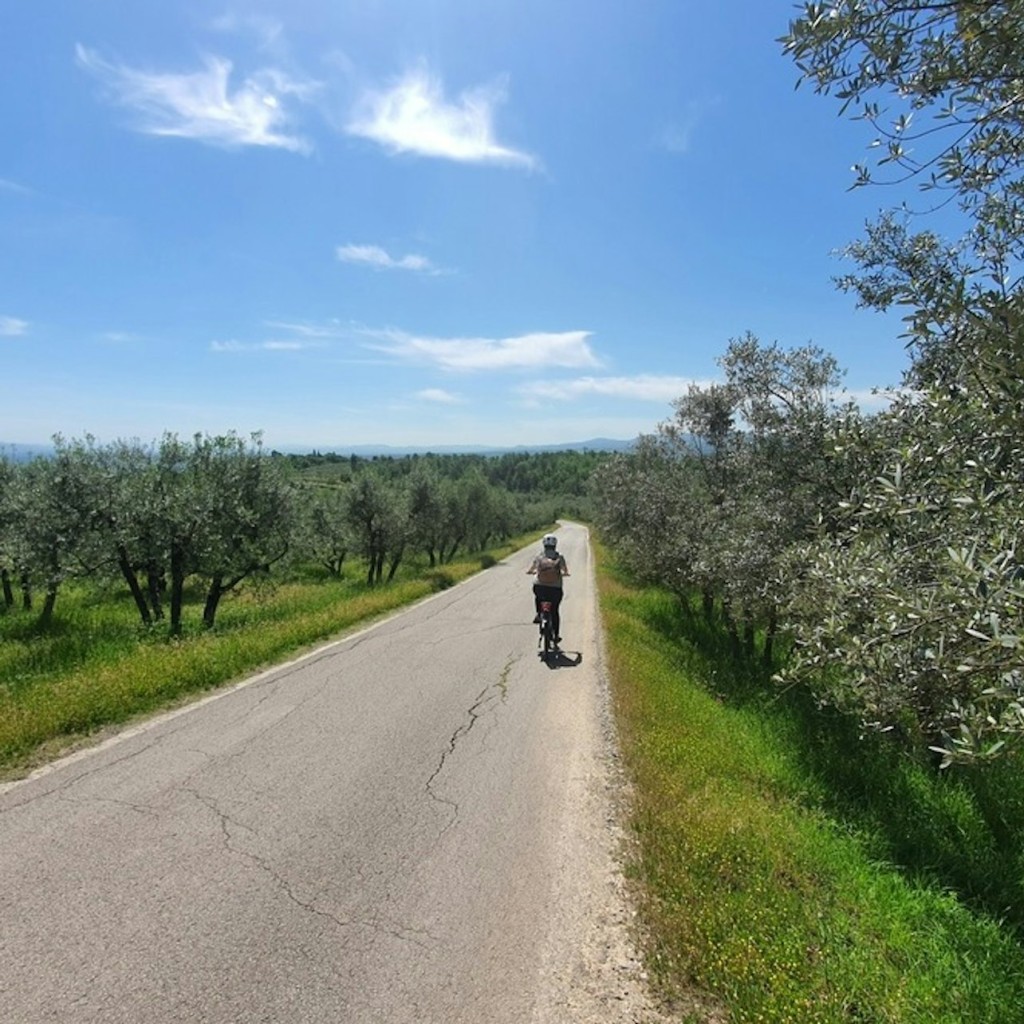 Chianti: Geführte E-Bike Tour + Mittagessen + Weinverkostung - 1