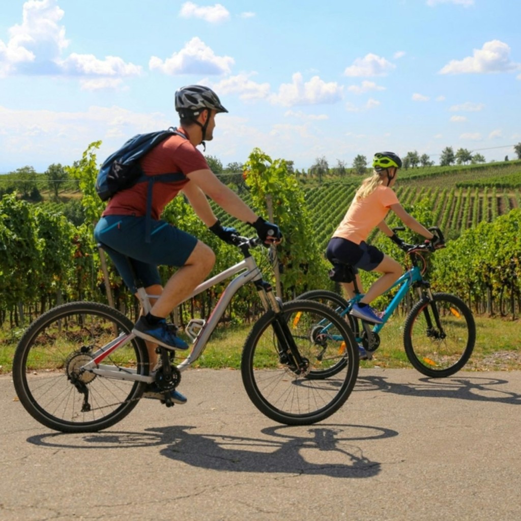 Chianti: Geführte E-Bike Tour + Mittagessen + Weinverkostung - 3