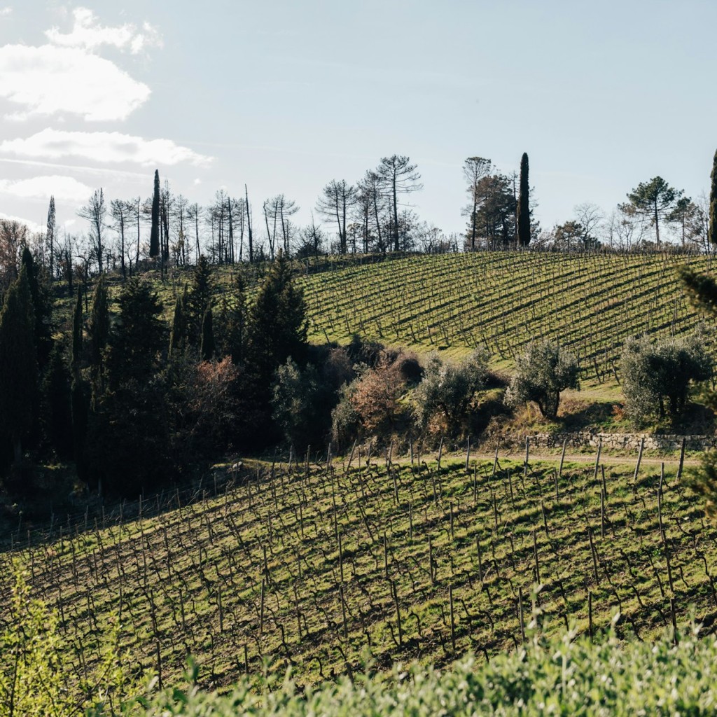 Chianti: Visita guiada del vi des de Florència + Tast - 3