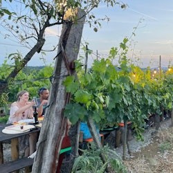 Región de Chianti: Excursión de un día desde Florencia + Cena en un viñedo - 2