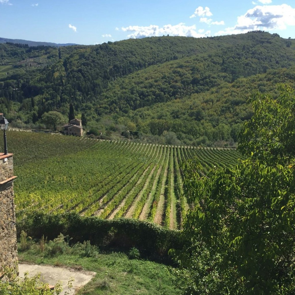 Región de Chianti: Excursión de un día desde Florencia + Visita a una bodega - 2