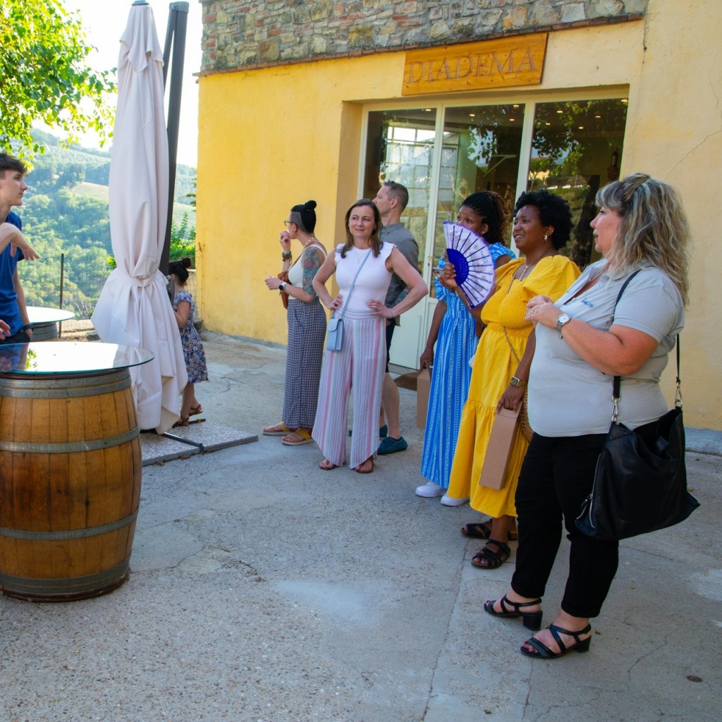 Chianti: Wine & Olive Oil Tasting with Guided Tour + Roundtrip from Florence - 1