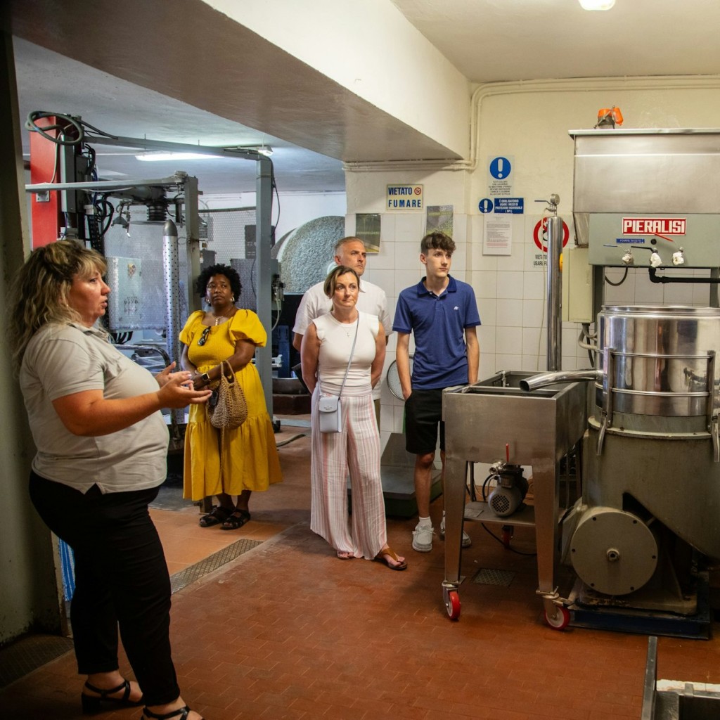 Chianti: Wine & Olive Oil Tasting with Guided Tour + Roundtrip from Florence - 2