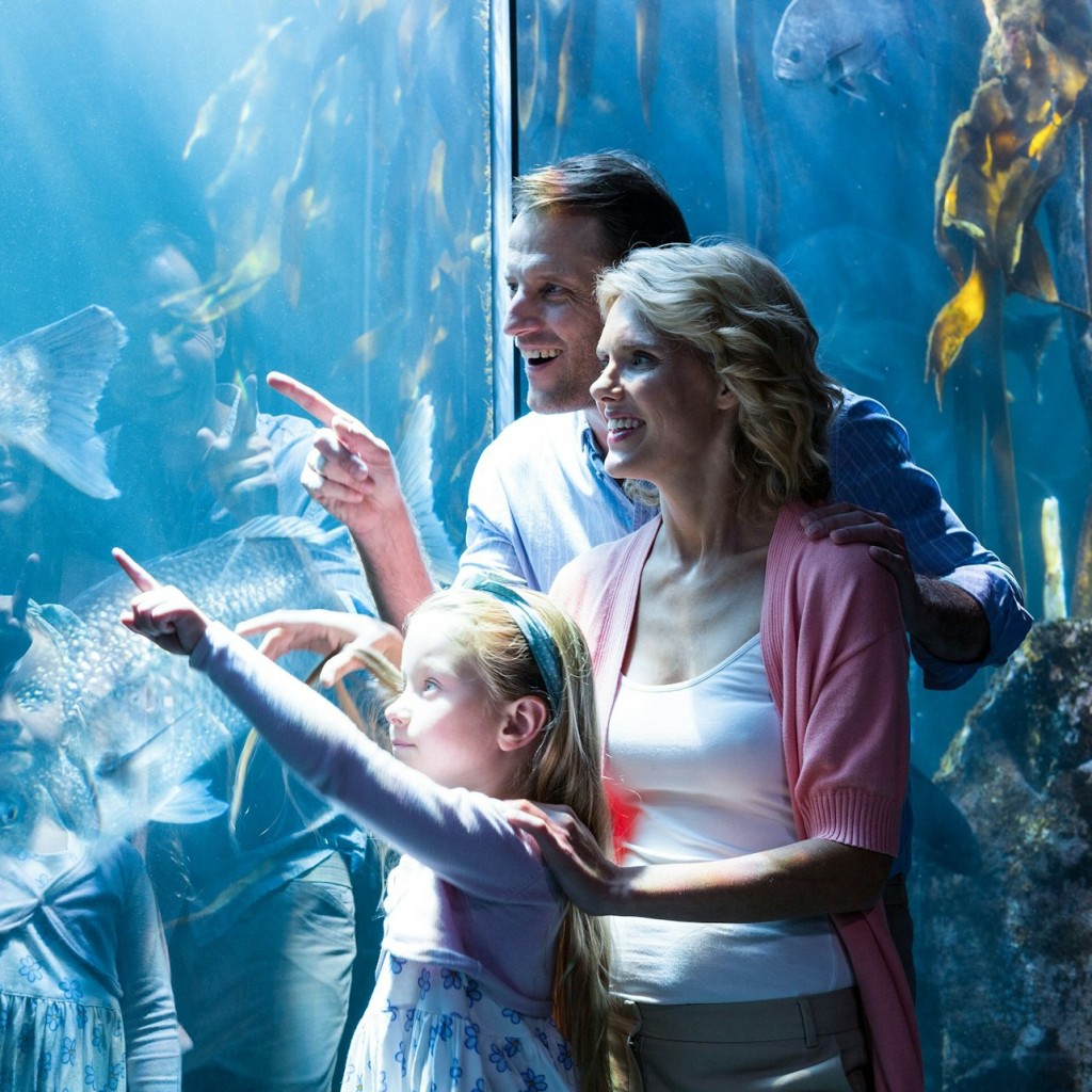 Chicago All-Inclusive Pass:シェッド水族館を含む30以上のアトラクション - 2 Days - 3