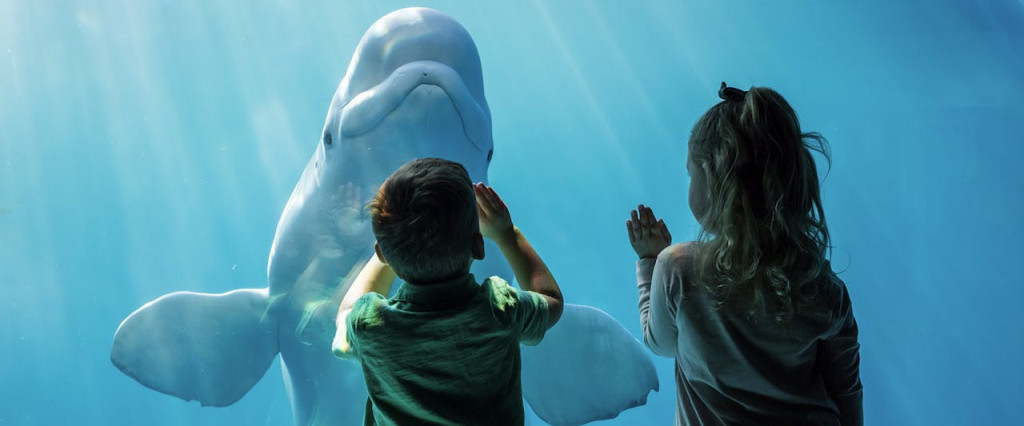 Chicago CityPASS: Admission to 5 Top Attractions (Chicago CityPASS) - 1