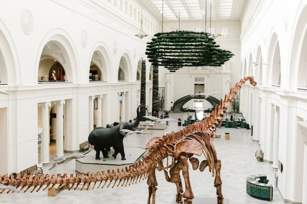 Chicago CityPASS: Admission to 5 Top Attractions (Chicago CityPASS) - 3