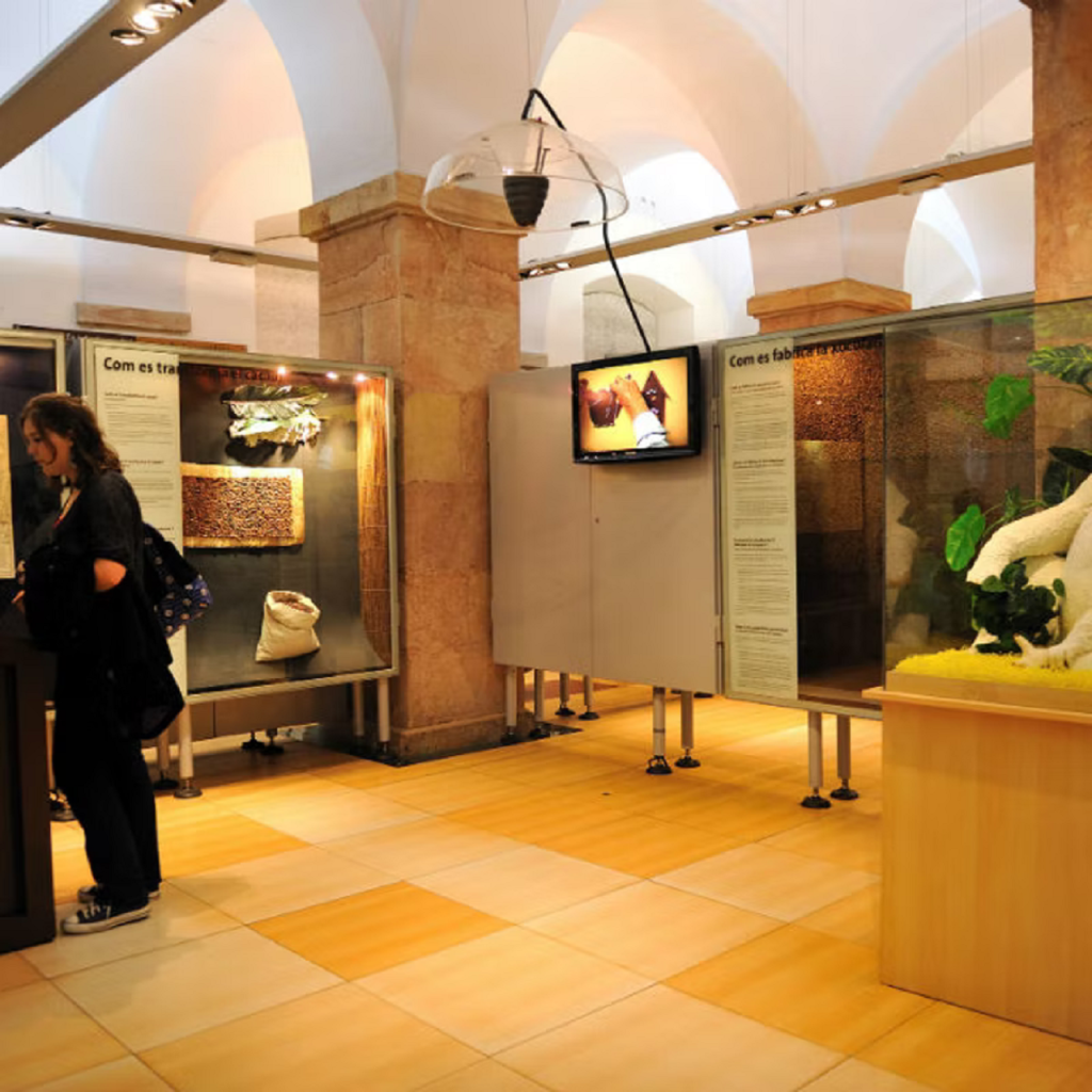 Chocolate Museum (Museu de la Xocolata de Barcelona) (Chocolate Museum (Museu de la Xocolata de Barcelona) - Admission) - 3