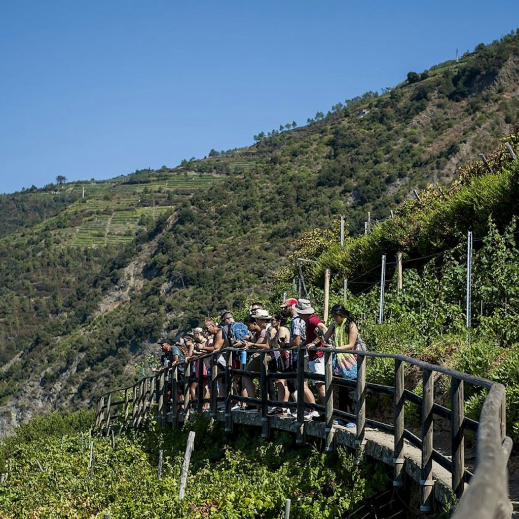 Cinque Terre: Excursión de un día desde Florencia + Excursión en barco + Senderismo opcional - 1