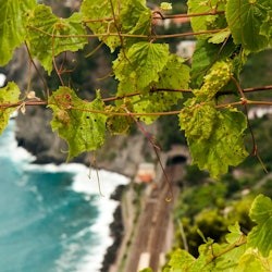 Cinque Terre: Excursión semiprivada de un día desde Florencia - 1