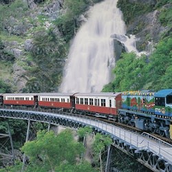 Tour di un giorno di Kuranda classico e trasferimento da Cairns - 2