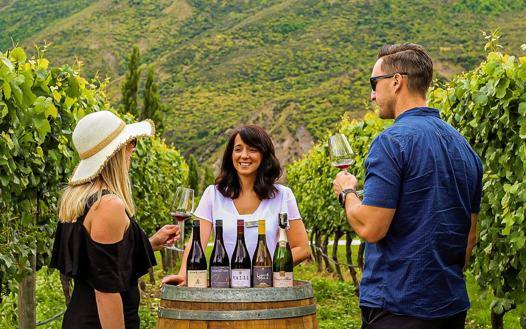 Klassische Weintour ab Queenstown (Classic Wine Tour from Queenstown) - 3
