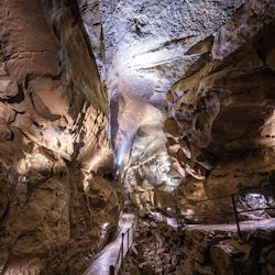 Cliffs of Moher & Aillwee Cave: Day Tour from Dublin + Bird of Prey Experience - 2