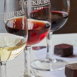 Bodegas de Cockburn: Visita guiada + Cata de vinos - 1