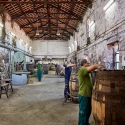 Bodegas de Cockburn: Visita guiada + Cata de vinos - 2