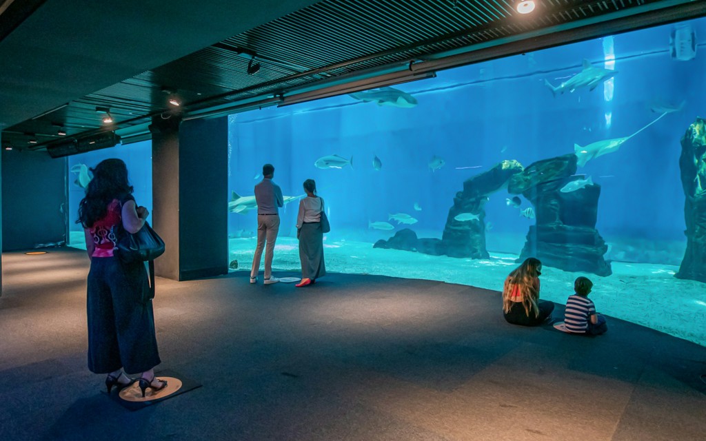 Kombitickets: Aquarium Genua + La Casa di Colombo Tickets (Genoa Aquarium Tickets + Christopher Columbus House Guided Tour) - 2