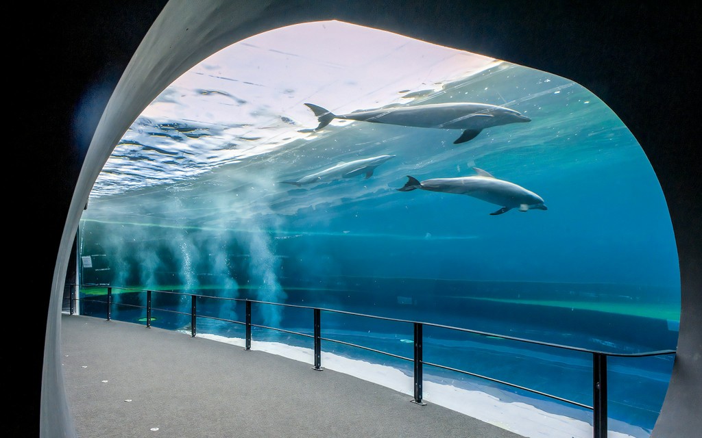 Kombitickets: Aquarium Genua + La Casa di Colombo Tickets (Genoa Aquarium Tickets + Christopher Columbus House Guided Tour) - 3