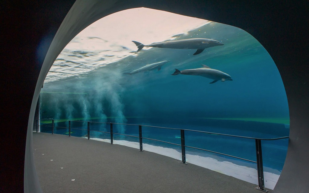 Kombi: Genua Aquarium + FantaCinema Museum Tickets (Combo: Genoa Aquarium + Fantacinema Museum Tickets) - 2