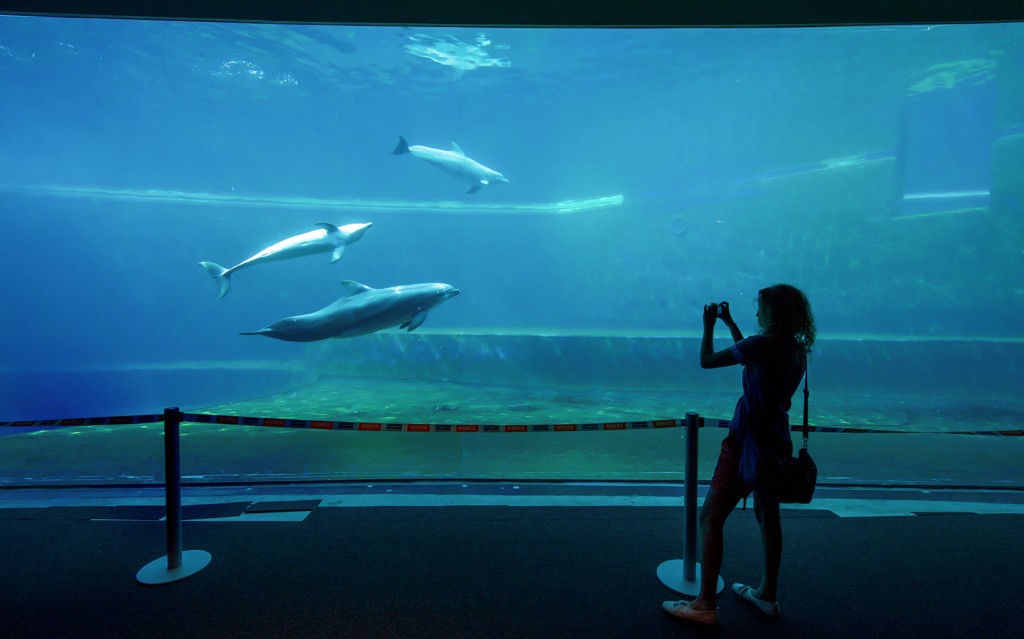 Kombitickets: Aquarium Genua + Leuchtturm von Genua (Combo: Genoa Aquarium + Lighthouse Tickets) - 1