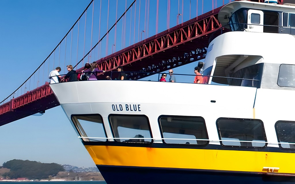 Combo: San Francisco Hop-on Hop-off Bus Tour + Golden Gate Bay & Alcatraz Cruise Tickets (Essential Ticket + Bay Cruise) - 3
